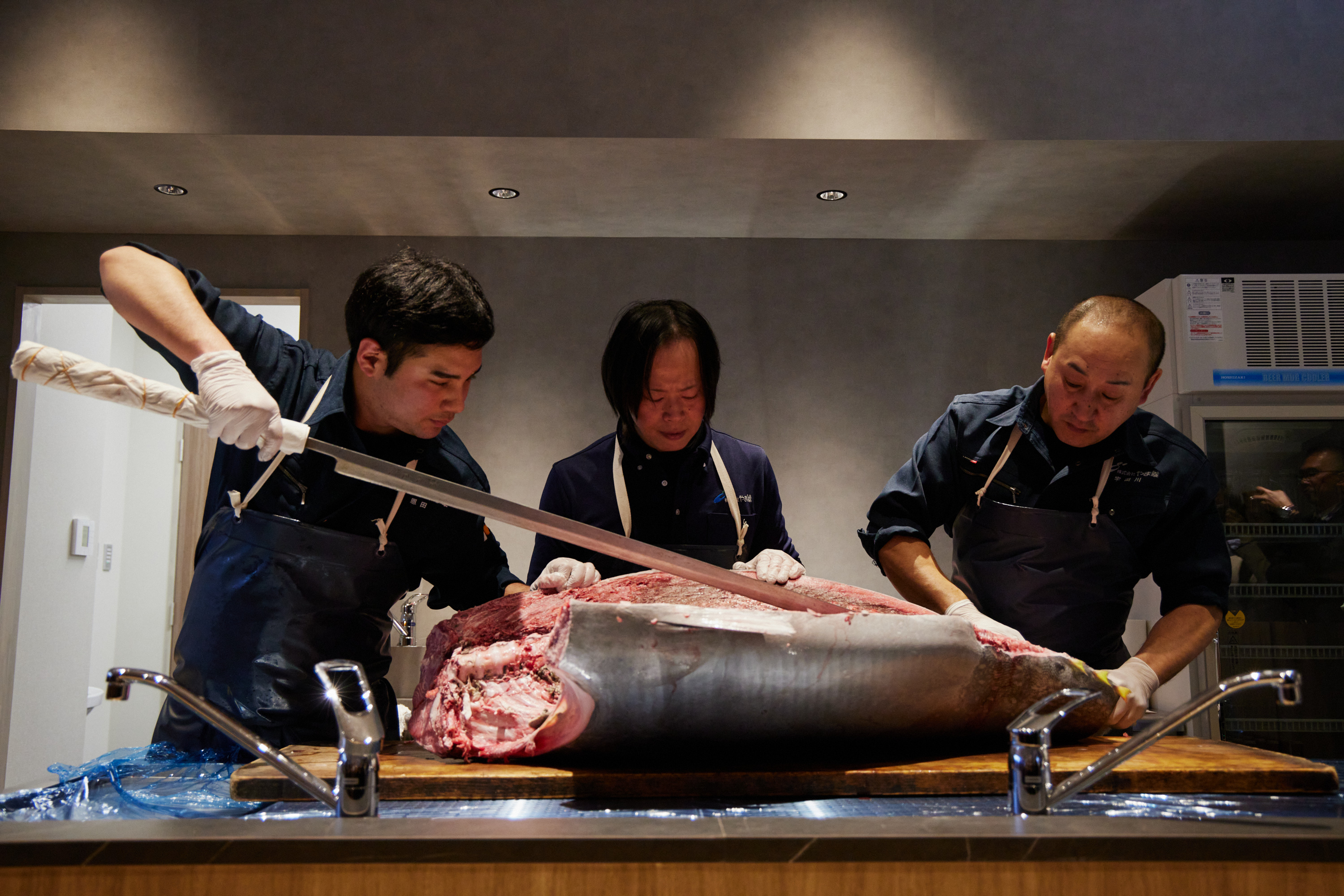 貸出画像「まぐろの解体ショー(イメージ)」