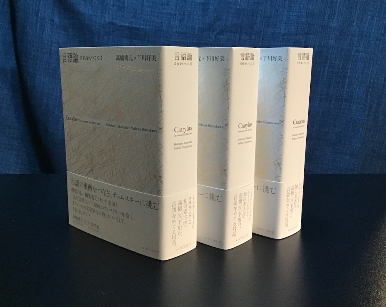 言語論 キイロブックストア合同会社