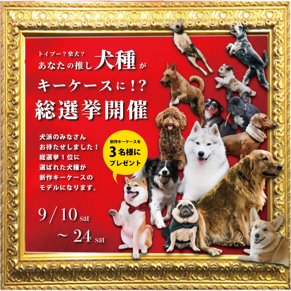 犬派のみなさんお待たせしました あなたの推し犬種がキーケースに 総選挙開催 Presswalker