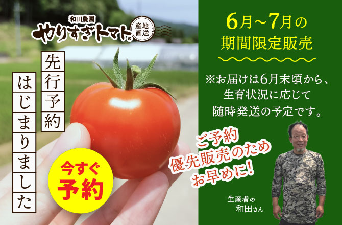 ワコーズまとめ売り1 。トマトさん専用。 楽天市場】【ふるさと納税】【2026年先行受付】 トマト 大玉トマト
