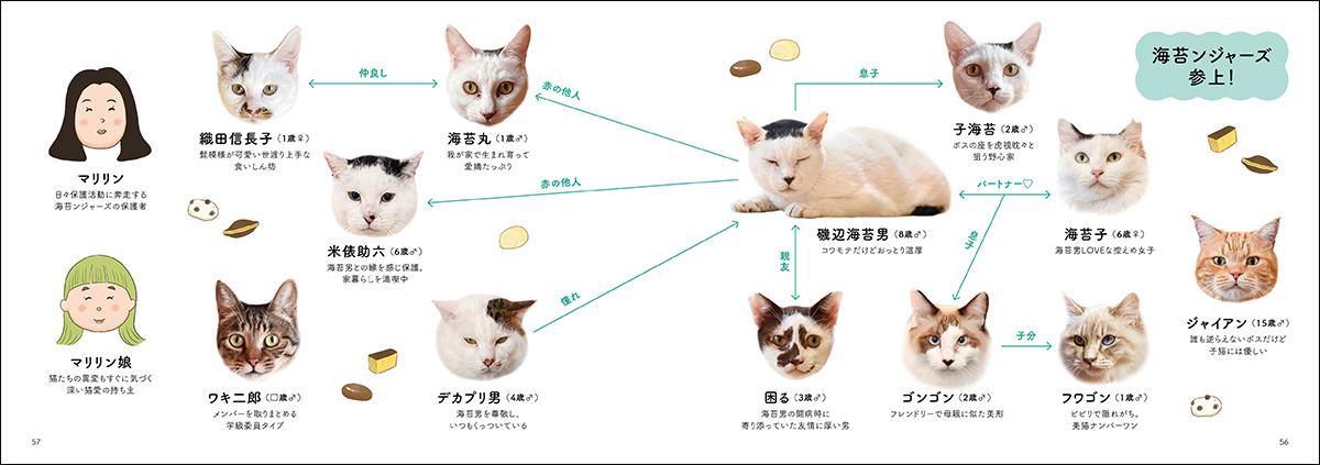 海苔男とその仲間たち「海苔ンジャーズ」相関図