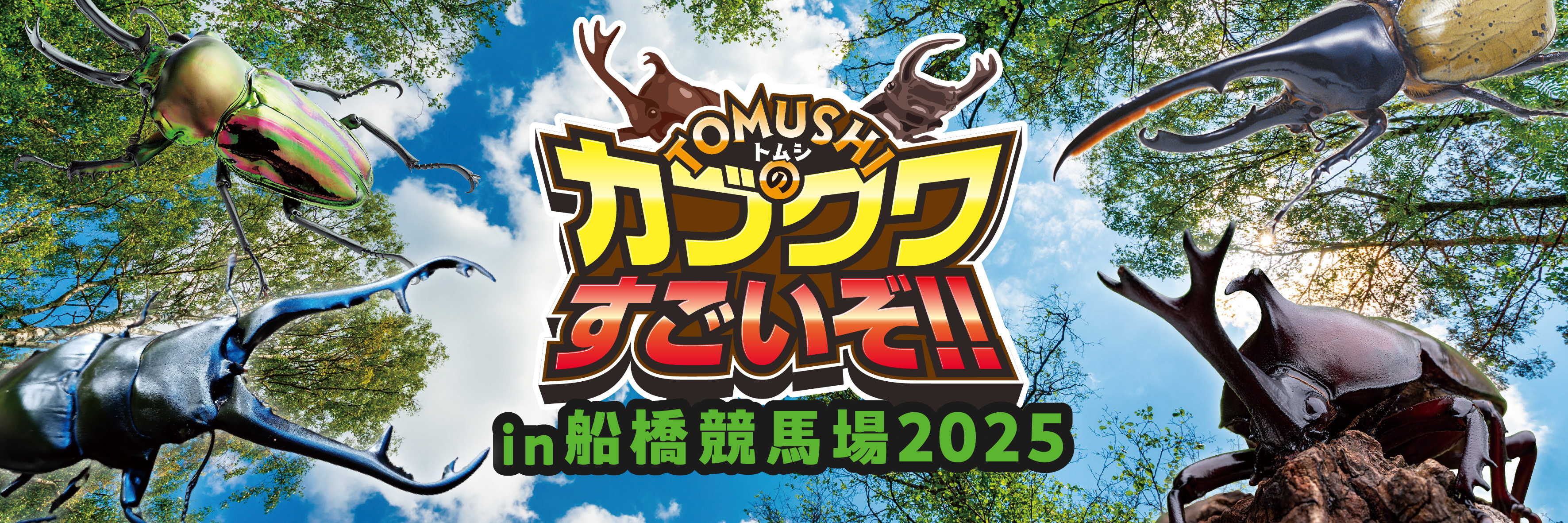貸出画像「カブクワすごいぞ in 船橋競馬場2025」
