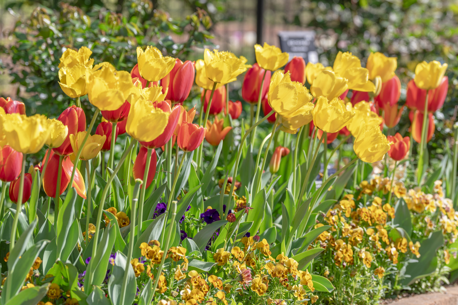 2024年の園内の様子
