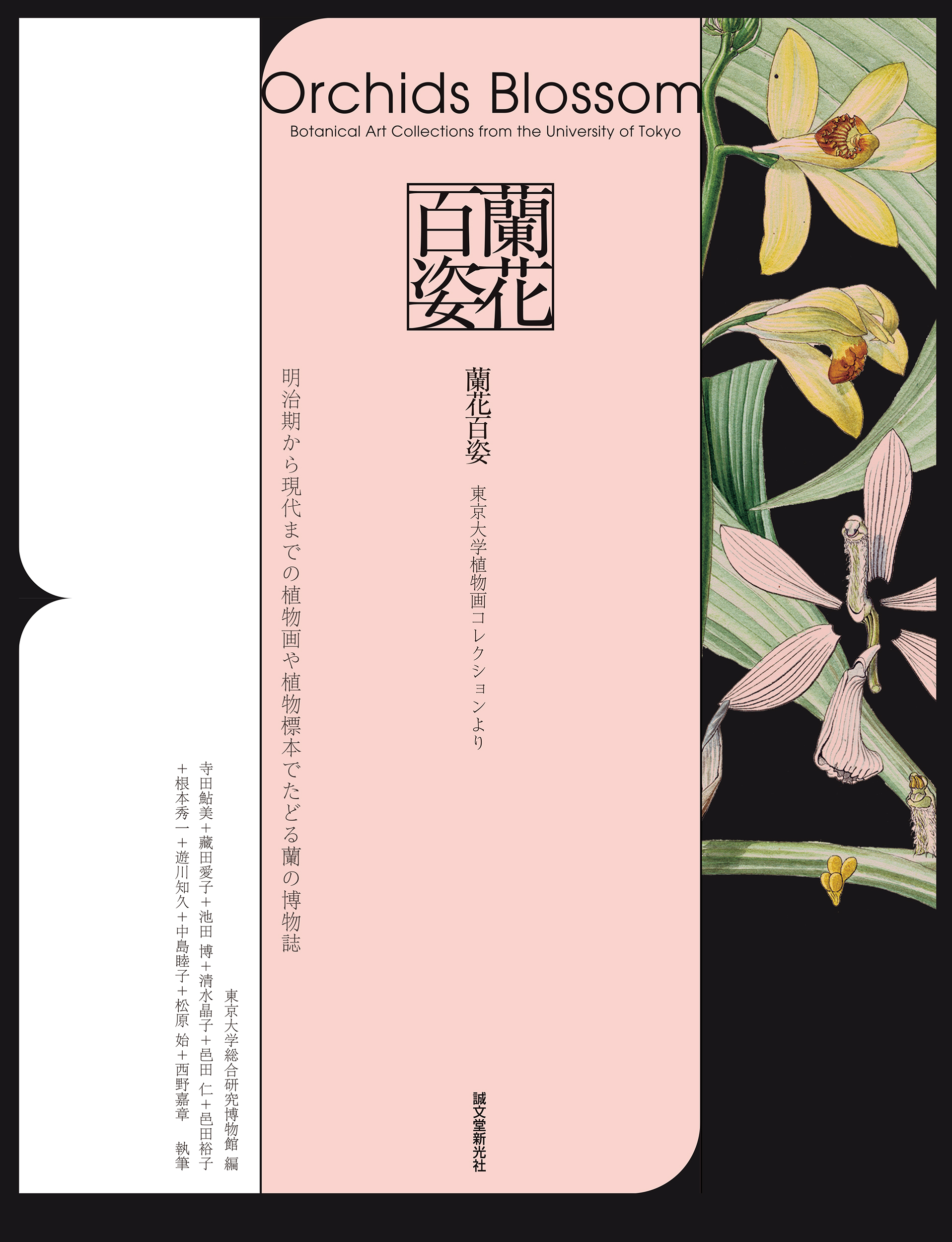 貴重な植物画や標本を100点超収録】東京大学総合研究博物館・インター