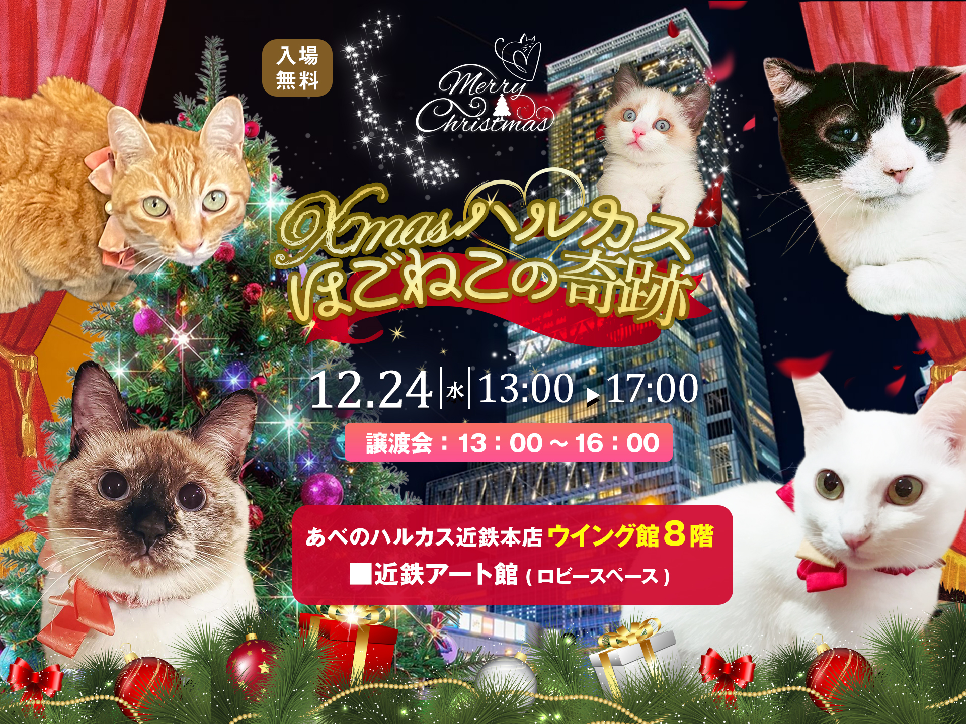 Xmasハルカス～ほごねこの奇跡～ inあべのハルカス｜PressWalker