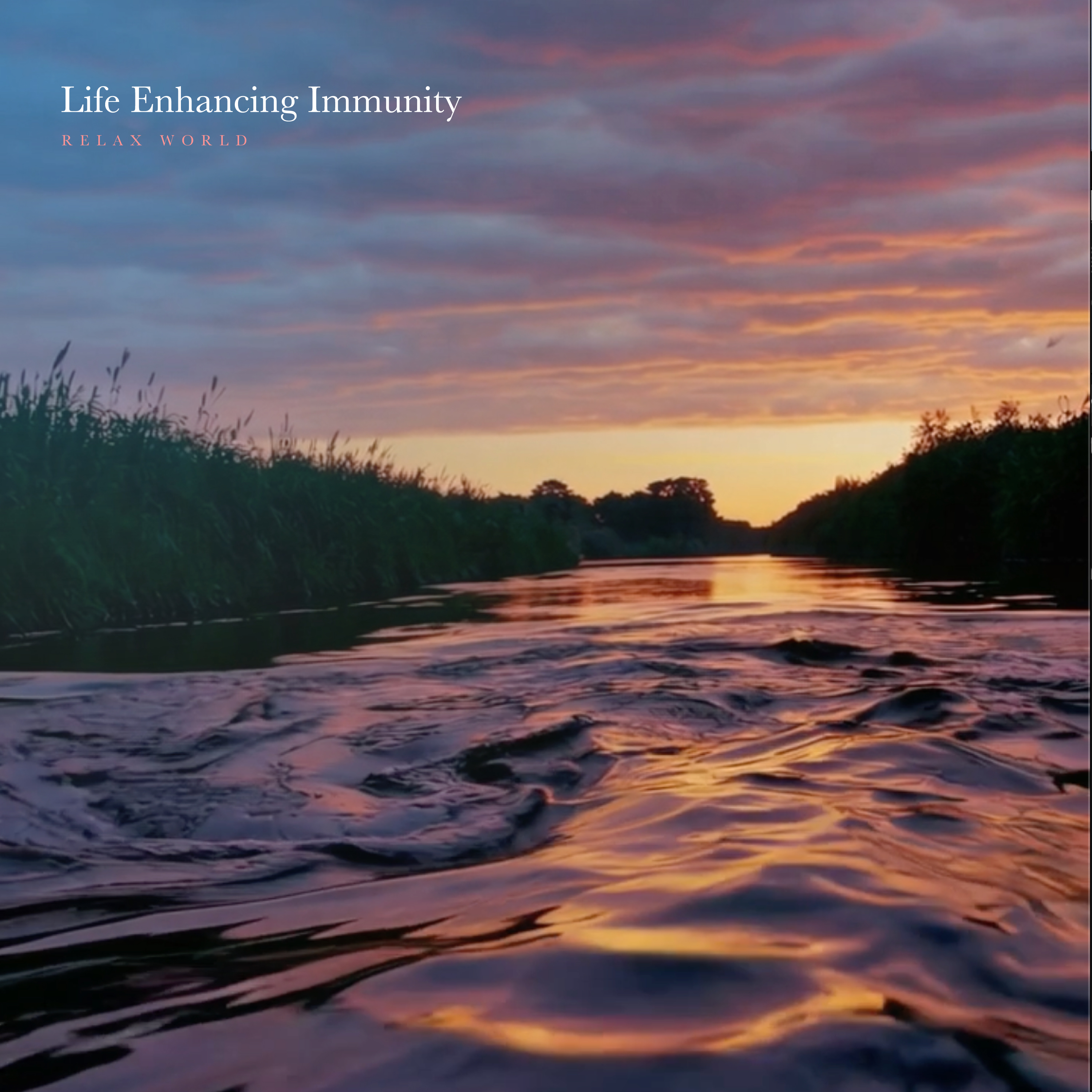 理学博士:和合治久先生による、RELAX WORLDへの監修アルバムとなる最新作『Life Enhancing Immunity』