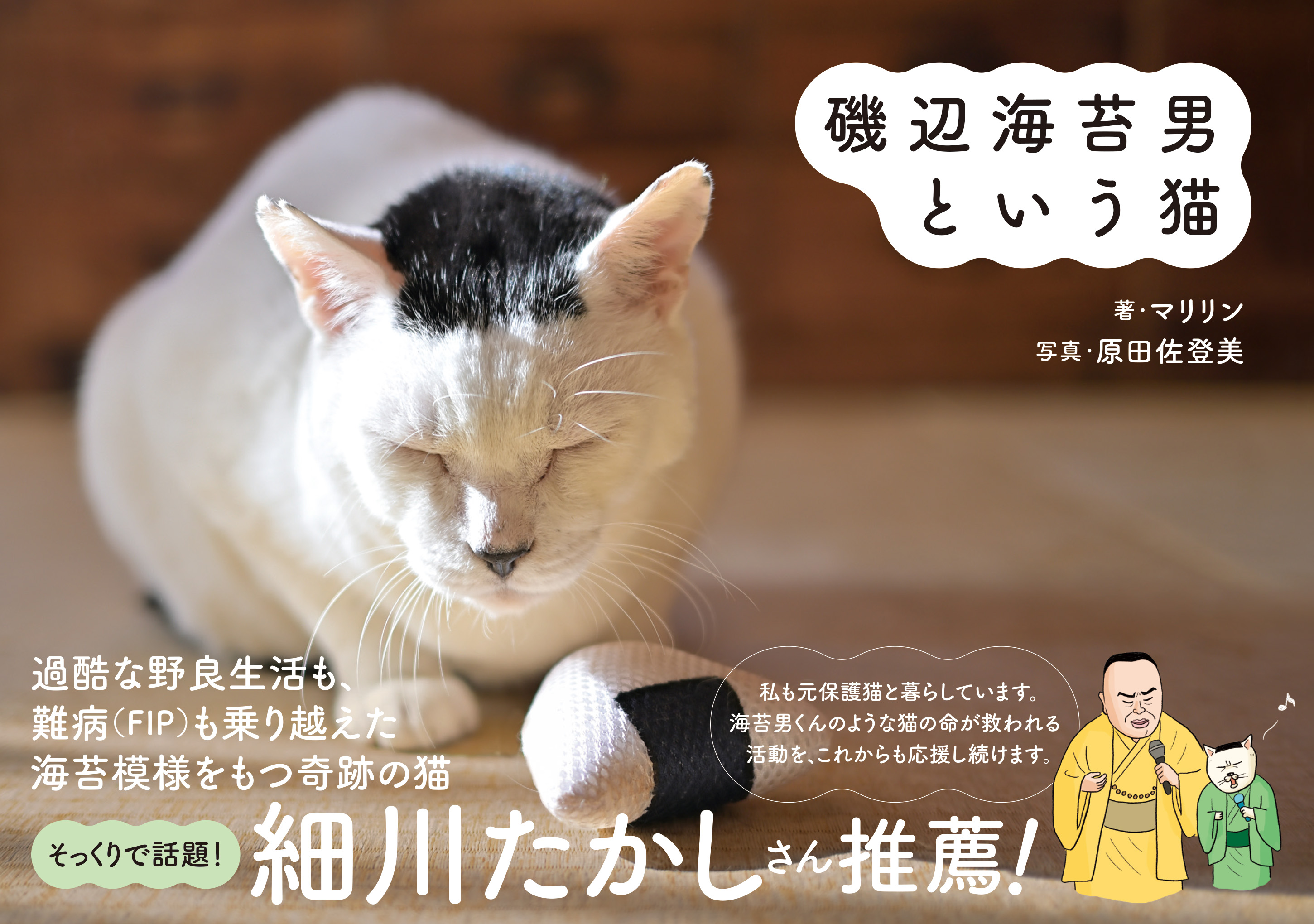 『磯辺海苔男という猫』(2025年8月8日発売、辰巳出版)