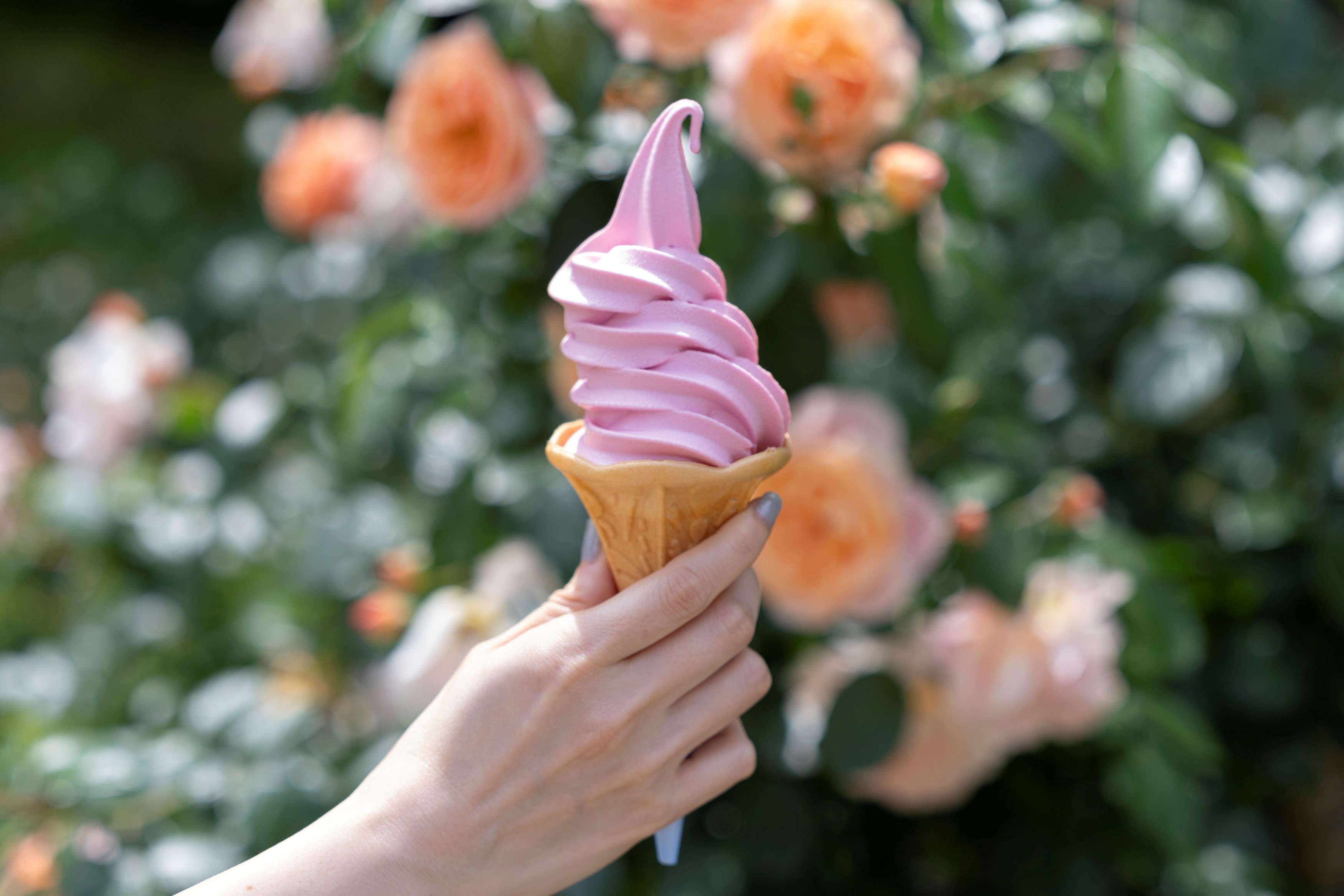 大人気のローズソフト 400円(税込)