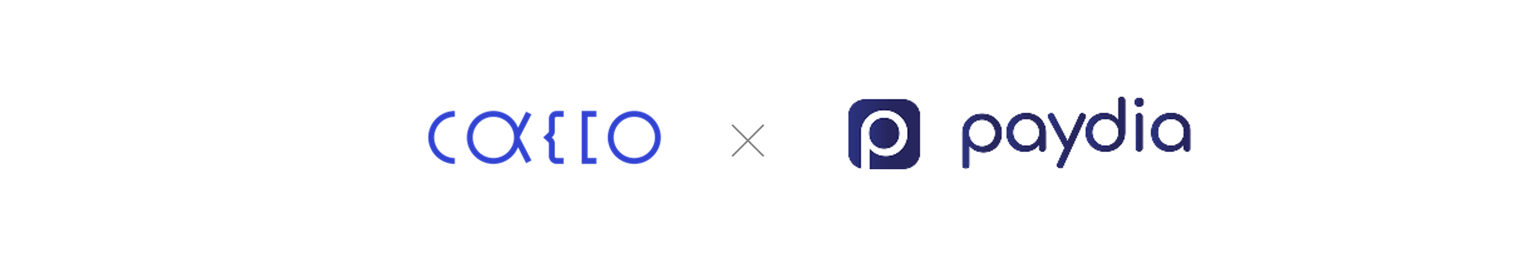 Cacco、インドネシアのフィンテック企業Paydiaとの協業を開始｜PressWalker