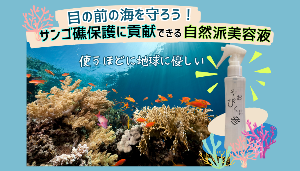 やおびくに参クラファン