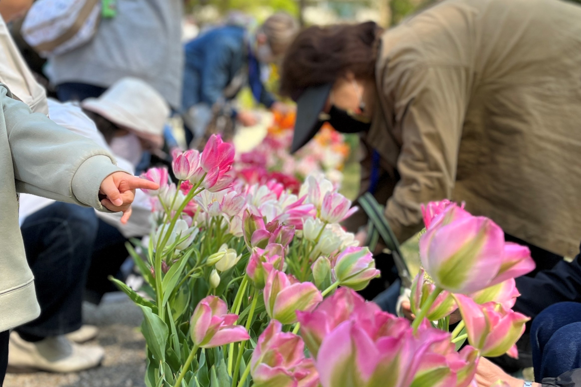 過去の開催の様子