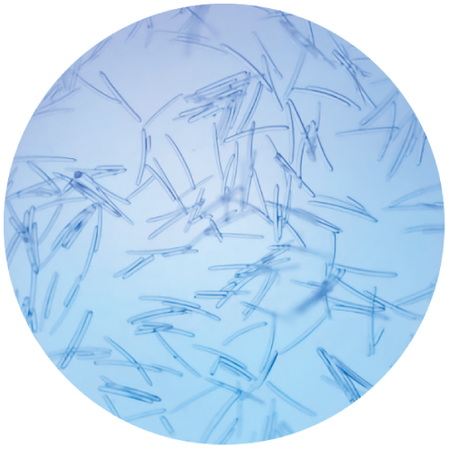 マイクロニードル