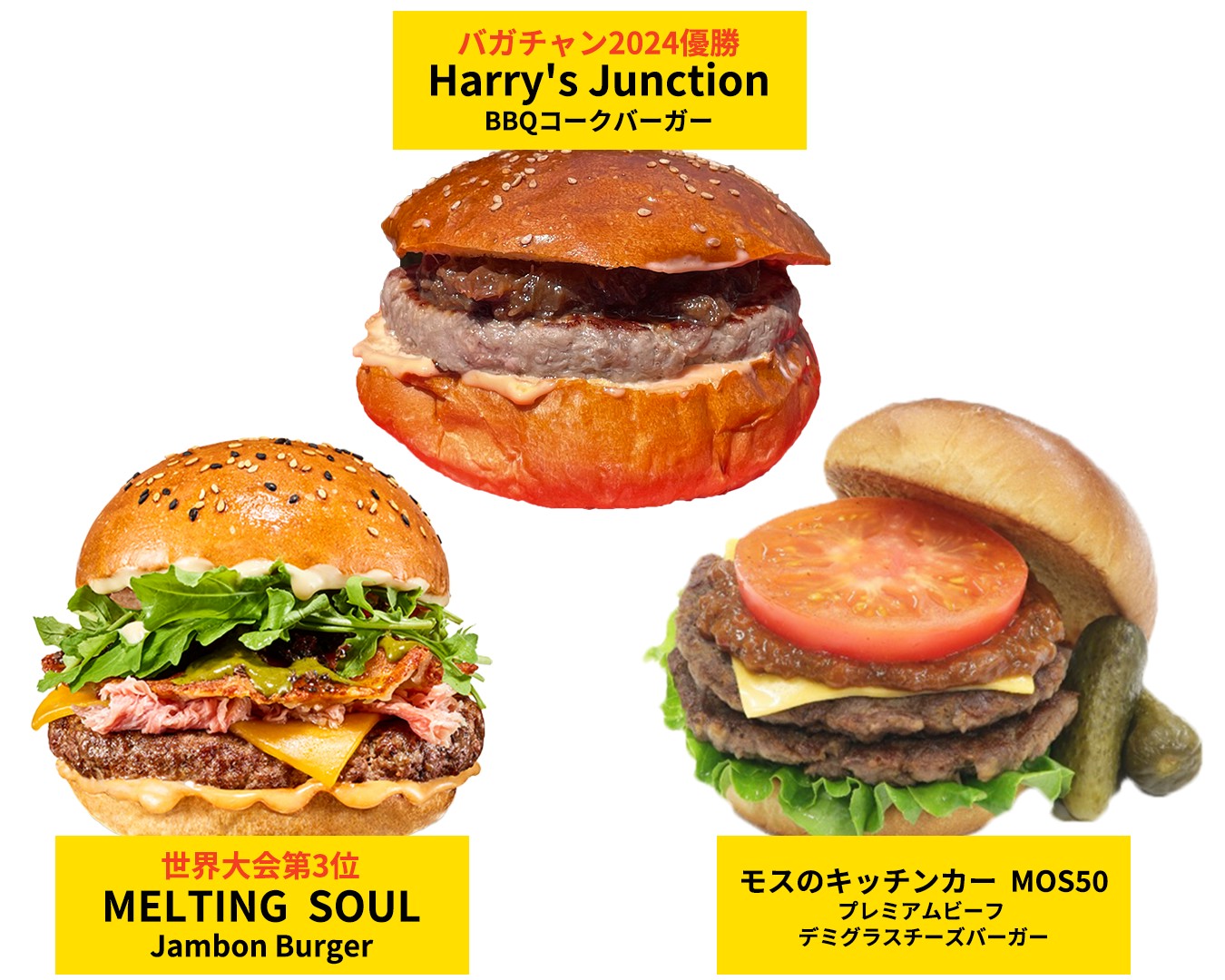 グルメバーガー日本一決定戦【バガチャン】～JAPAN BURGER