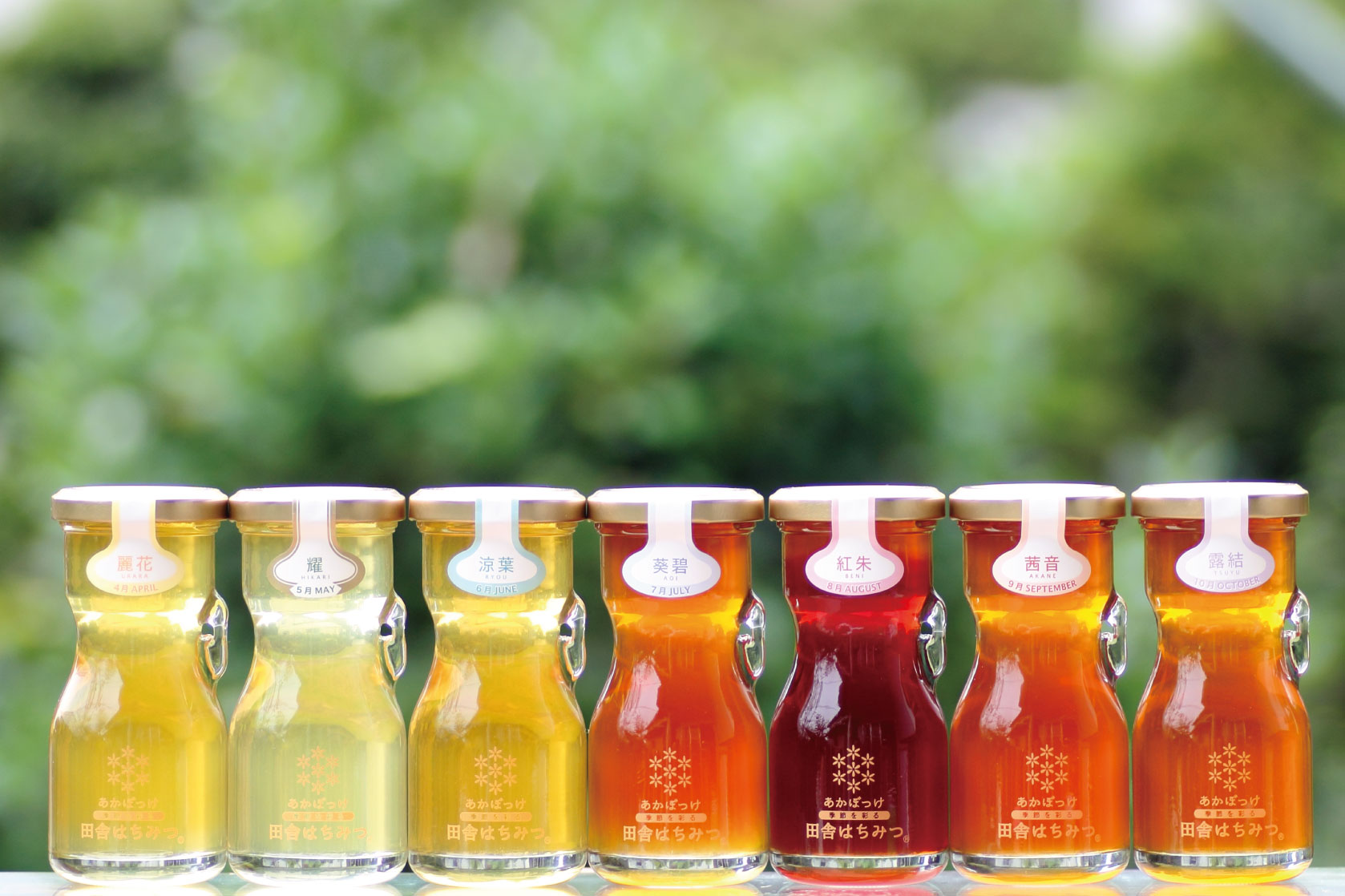 ※写真はイメージです