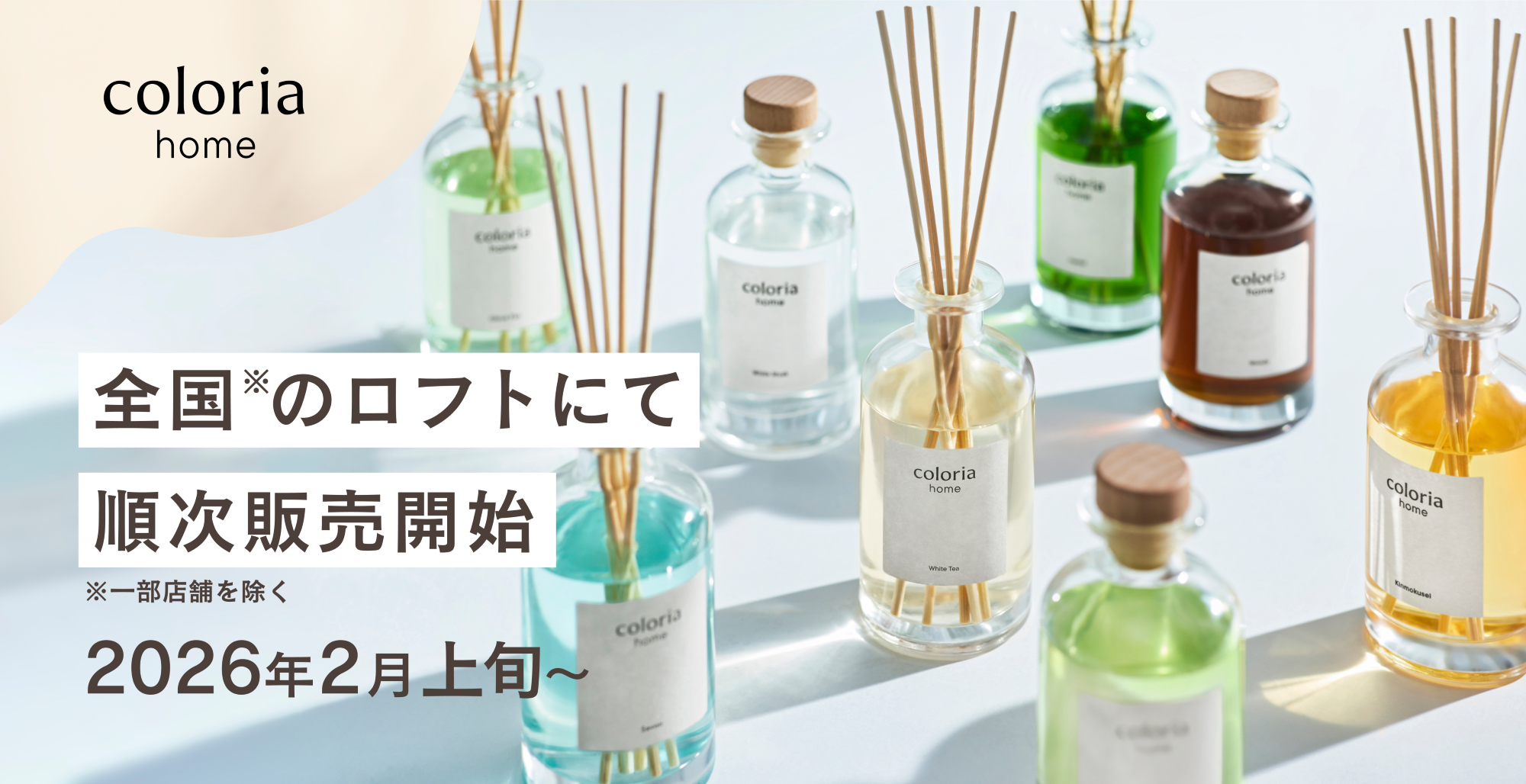 Coloria Home」初のオフライン展開スタート！ 全国のロフトにて2026年2