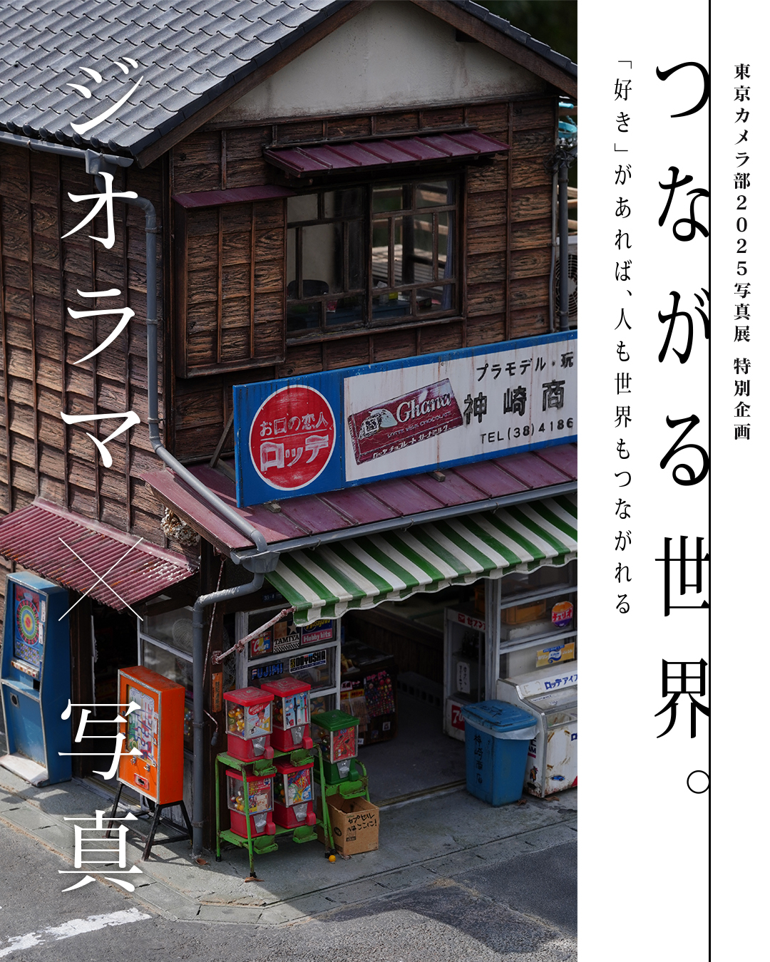 特別企画_ジオラマ×写真.jpg
