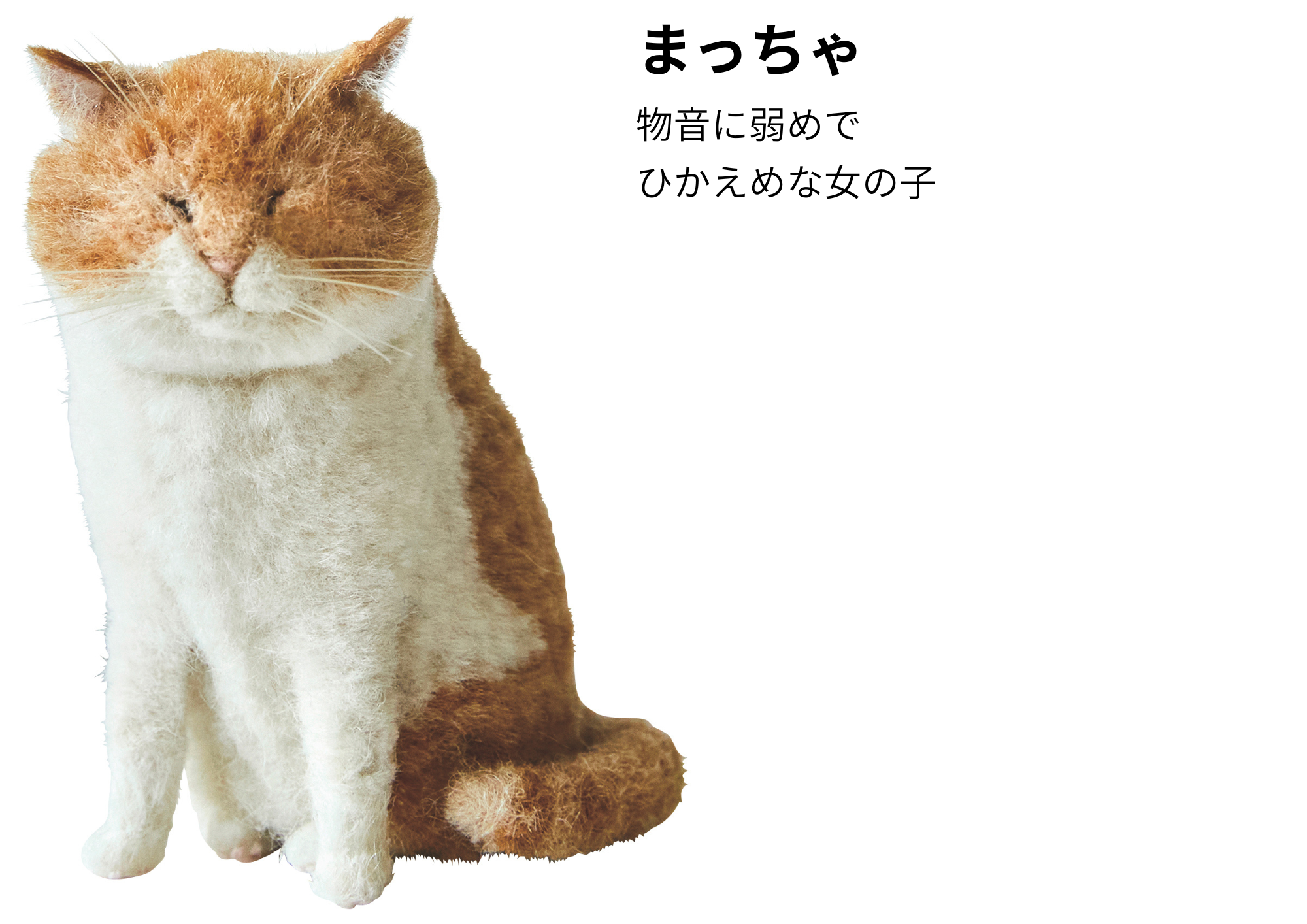 7月30日発売】約5cmのちっちゃくてかわいいにゃんこたち