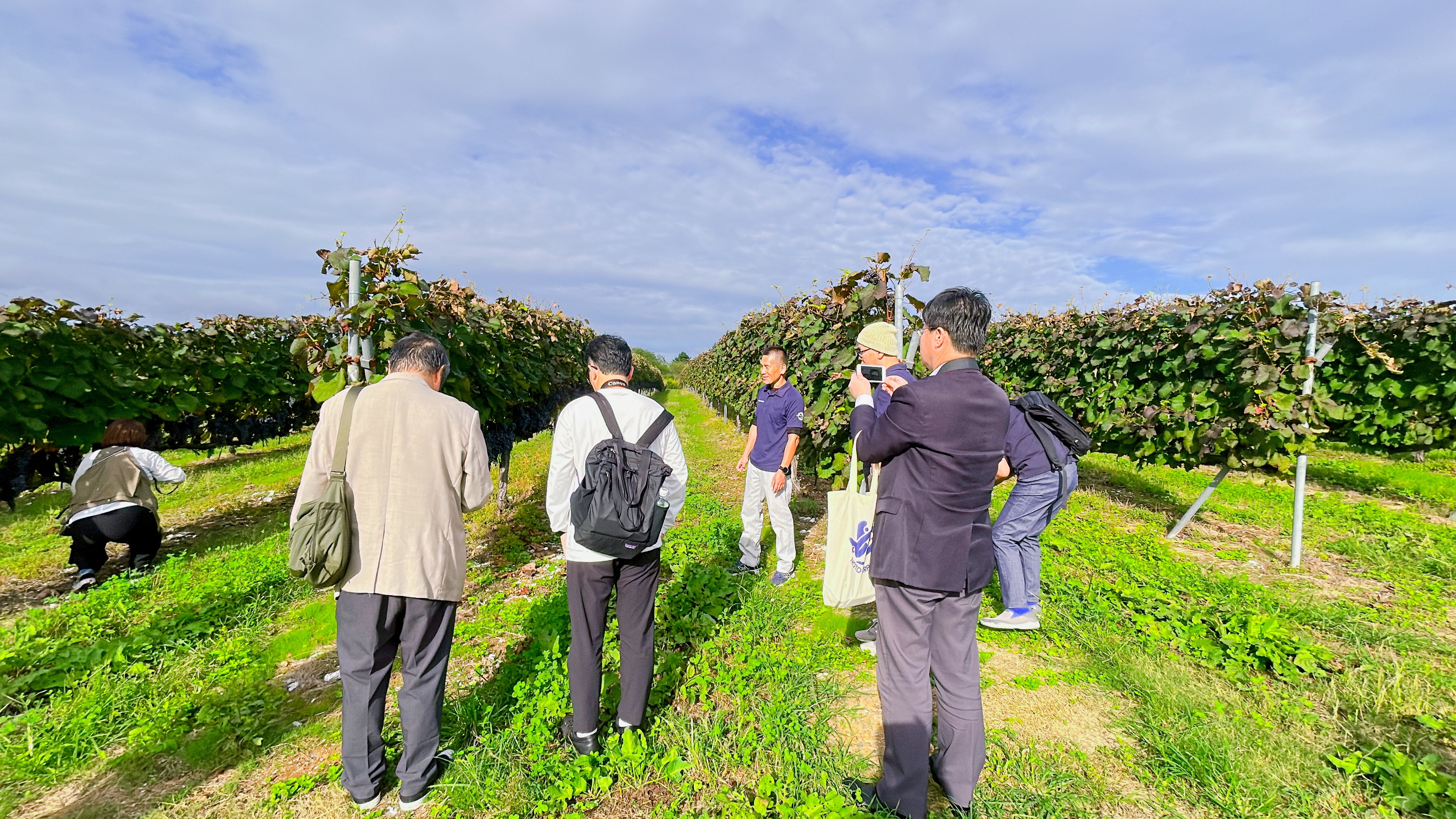 四季折々に異なる表情を見せる能登ワイン(穴水町)のぶどう畑 d9db8af7f3905bfc1764827566.jpg