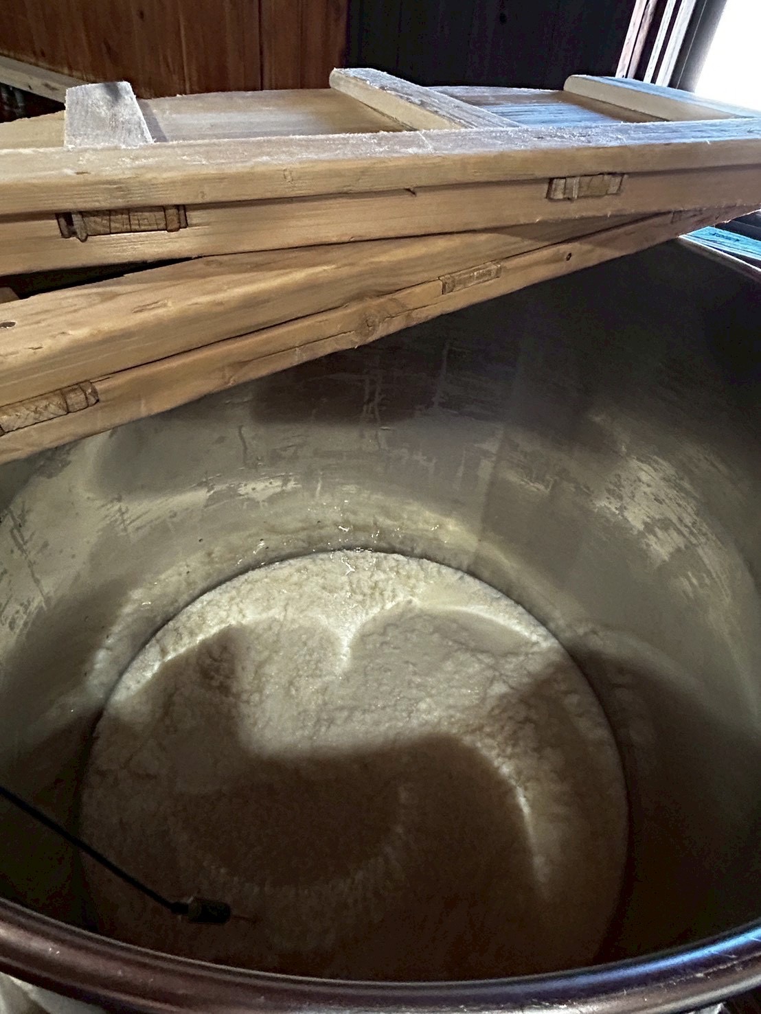 貴重な醪タンクの中を観察