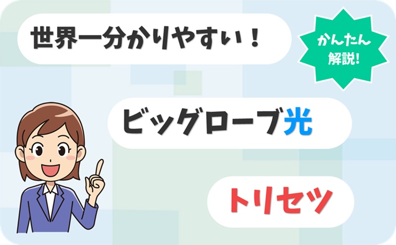ビッグローブ光のトリセツのイメージ画像