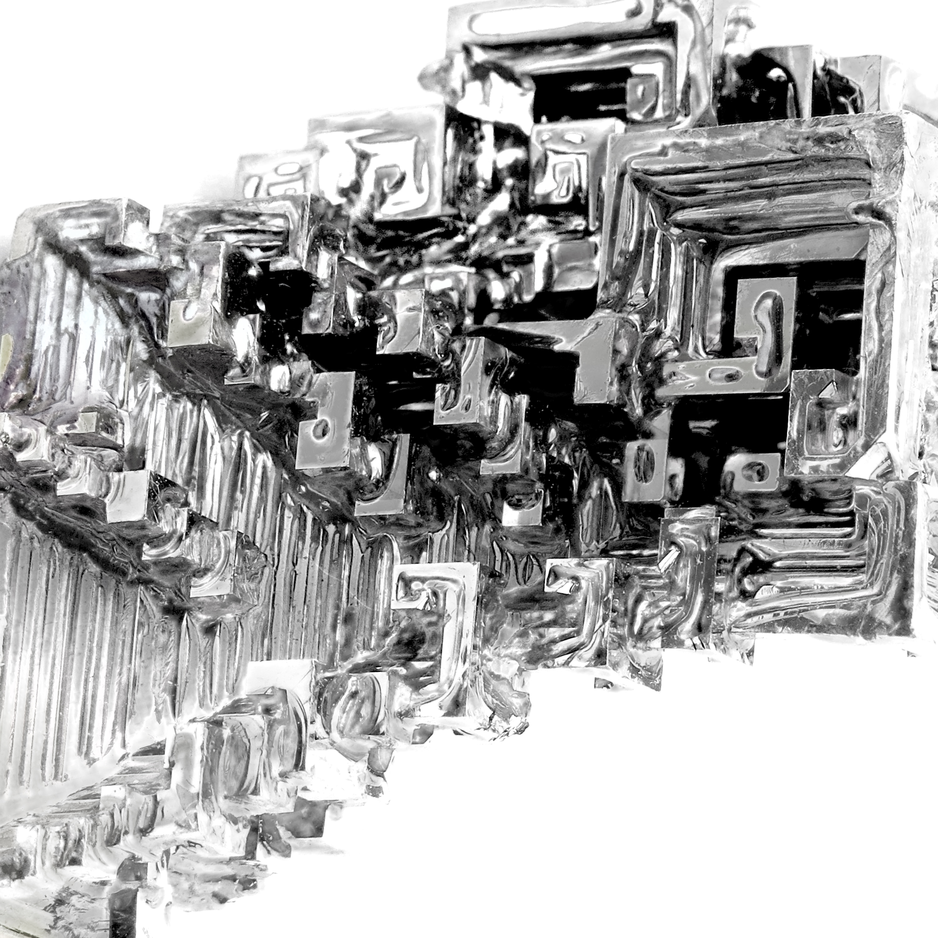 「シノプティコン」ジャケット画像