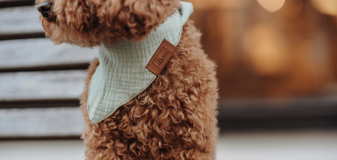 ドイツのペット用品ブランド「ハンター」から犬用スカーフ「ノーラ」新発売｜PressWalker