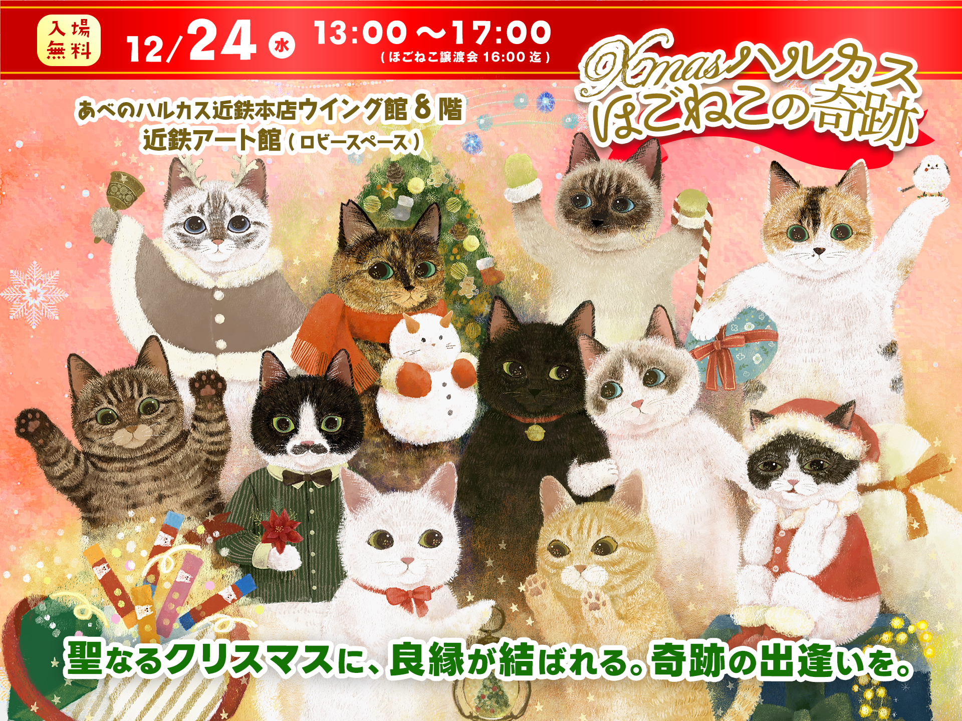 Xmasハルカス～ほごねこの奇跡～ inあべのハルカス｜PressWalker