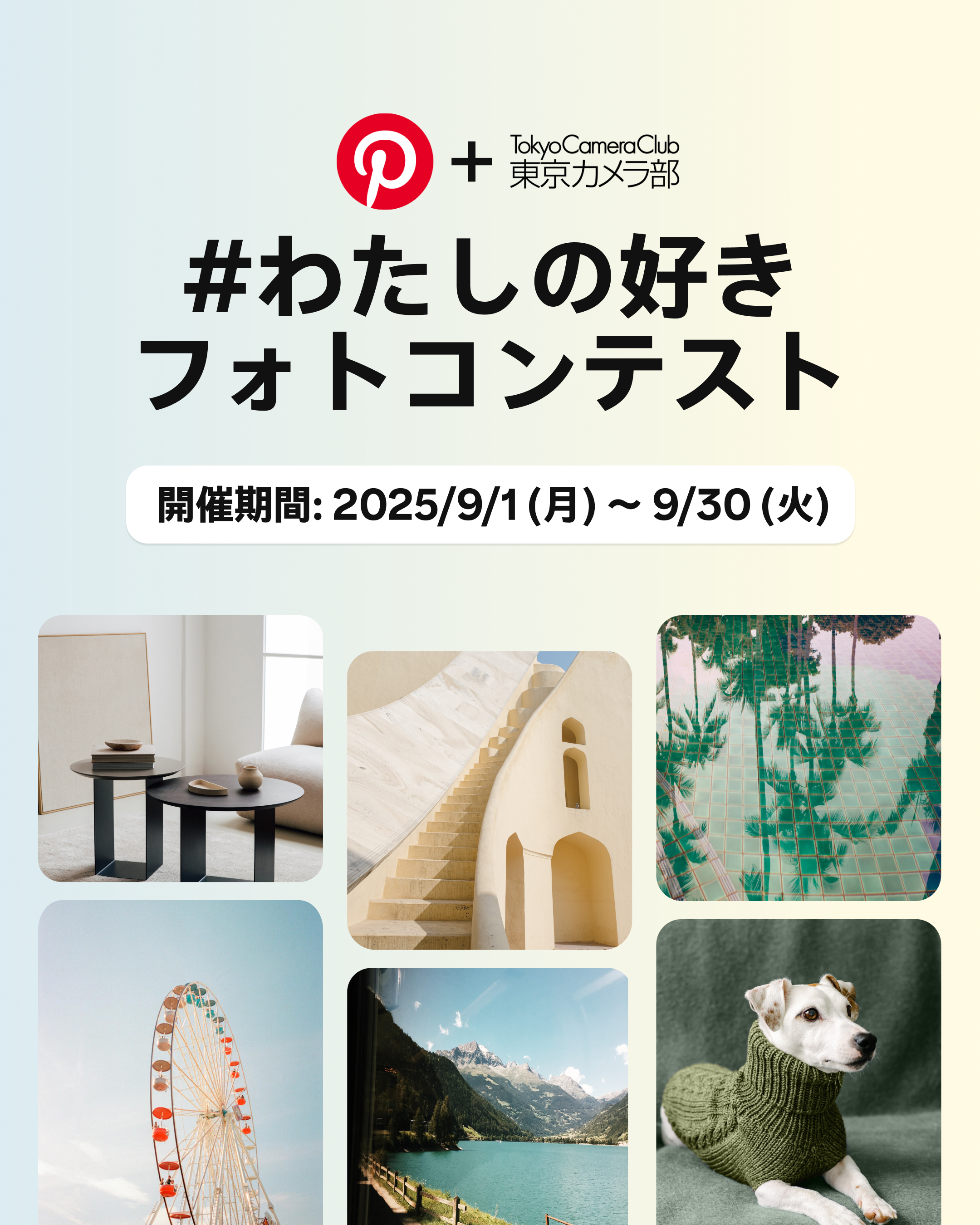 フォトコンテスト