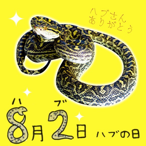 ハブさんありがとう