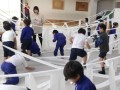 小学校でのワークショップ開催実績