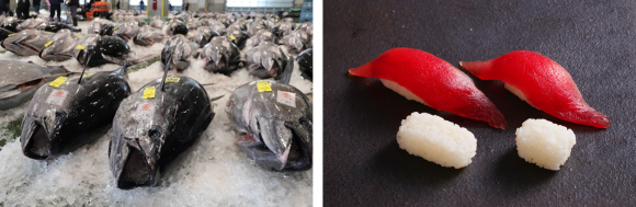 仕入れや食材管理だけじゃない！ 宅配寿司シェアNo.1「銀のさら」の“食品ロス”対策