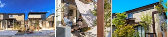 The Community of Trees and Wind