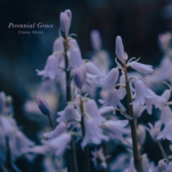 Classy Moon / Perennial Grace