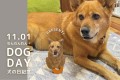 祝・犬の日！愛犬がキーケースに！犬の日を記念して、応募者の中から抽選で1名様にプレゼントするキャンペーンを開催いたします。