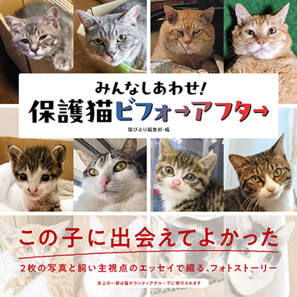 表紙の猫は全6匹、左側が「出会った頃」、右側が「現在」のビフォーアフターです。