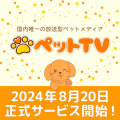 ペットTV サービス告知画像