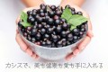 スーパーフードの王様　ニュージーランド産カシス