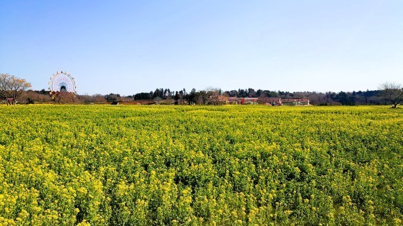 画像は2025年3月15日現在