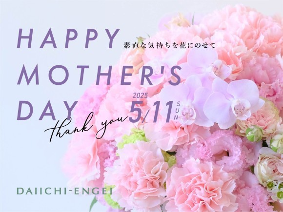 カーネーション１鉢からできる支援！ 「一年に一度の母の日に、お母様だけではなく遠い国の誰かにも笑顔が届く」