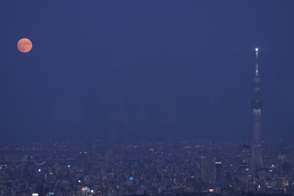 画像はイメージです。