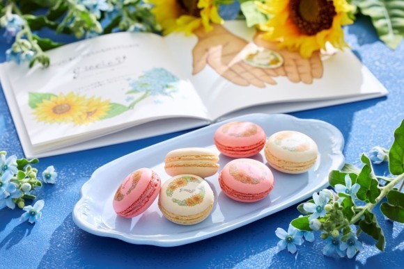 ピースフルマカロン　イメージ