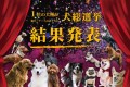 犬種ランキング