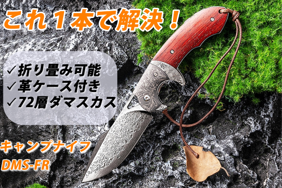 美しい73層のダマスカス鋼の折り畳みアウトドアナイフ！DMS-FR