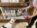 奈良県生駒郡の動物保護施設「Enn」に犬用無添加おやつ VitaLife（ビタライフ）を寄付いたしました