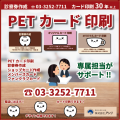 PETカード印刷ができる印刷屋さんアンリ東京（営業部・デザイン室）でございます！