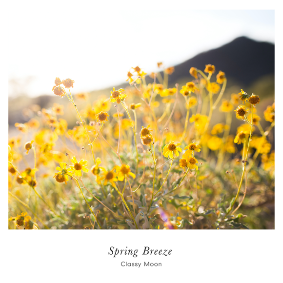 Classy Moon / Spring Breeze