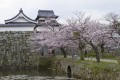 福岡城さくらまつり（イメージ）