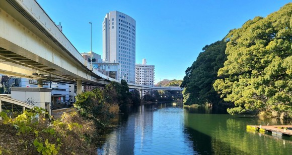 地球も未来も守る！グリーンジョブで持続可能な社会を牽引しよう