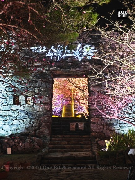 第18回今帰仁城グスク桜まつり 夜桜ライトアップ（2025） 開催の様子 ー AXIZLight演出