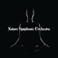 Nature Symphonic Orchestra / Meditating Deep Within